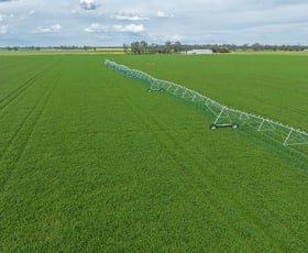 Rural / Farming commercial property for sale at 71 Joys Road, Cadgee Naracoorte SA 5271