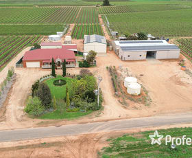 Rural / Farming commercial property for sale at 350 & 356 Stewart Road Red Cliffs VIC 3496