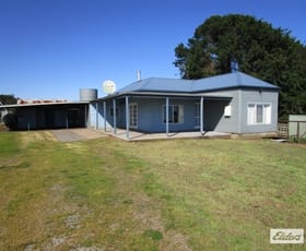 Rural / Farming commercial property sold at 175 Allison Road North Motton TAS 7315