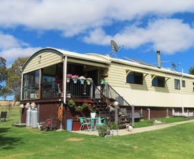 Rural / Farming commercial property sold at 5230 Mount Lindesay Road Liston NSW 2372