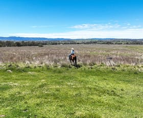 Rural / Farming commercial property sold at 'Kiora' Kia Ora Lane Tamworth NSW 2340