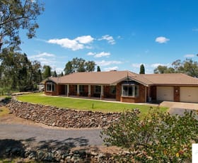 Rural / Farming commercial property sold at 17-23 Rocky Point Road Gunnedah NSW 2380