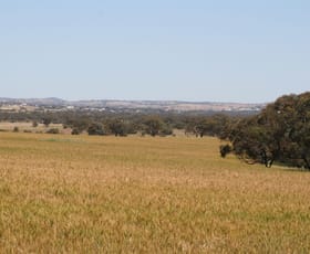 Rural / Farming commercial property sold at . Boramin & Mulukine Road Grass Valley WA 6403