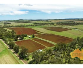 Rural / Farming commercial property sold at 480 West Wooroolin Road Wooroolin QLD 4608