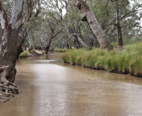 Rural / Farming commercial property for sale at Parkes NSW 2870