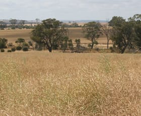 Rural / Farming commercial property sold at . Madews Jennacubbine WA 6401