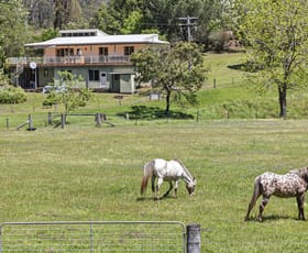 Rural / Farming commercial property for sale at 140 Upper Yango Creek Road Laguna NSW 2325