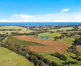 Rural / Farming commercial property sold at 16 Raapita Road Toorloo Arm VIC 3909