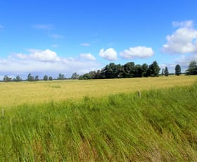 Rural / Farming commercial property sold at 140 Uralla Lane Corowa NSW 2646