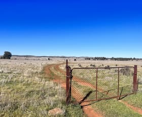 Rural / Farming commercial property sold at 58 Price Road Peterborough SA 5422