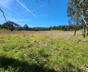 Rural / Farming commercial property sold at 825 Tunbridge Road Merriwa NSW 2329