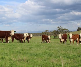 Rural / Farming commercial property sold at 320 Scribbly Gum Lane Wingello NSW 2579