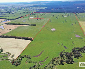 Rural / Farming commercial property sold at Rosedale - Flynns Creek Road Flynn VIC 3844