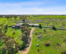 Rural / Farming commercial property sold at 5360 Ballarat-Maryborough Road Talbot VIC 3371