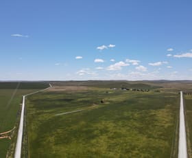 Rural / Farming commercial property for sale at 1256 Belalie Rd Canowie Belt SA 5420