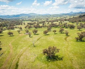 Rural / Farming commercial property sold at 'Warrahdale' 413 Presses Road Willow Tree NSW 2339