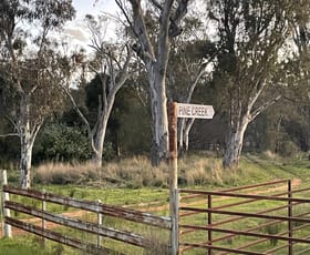 Rural / Farming commercial property sold at Pine Creek 3461 Wyuna Road, Mullaley via Gunnedah NSW 2380