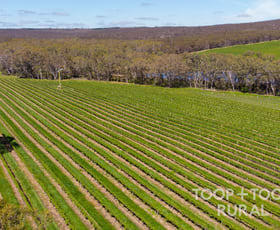 Rural / Farming commercial property sold at 727/ Tanunda Creek Road Flaxman Valley SA 5235