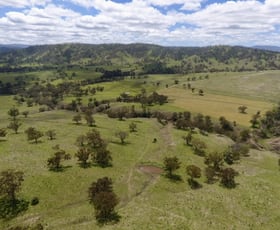 Rural / Farming commercial property sold at "Box Tree" 190 Coogah Lane Blandford NSW 2338