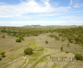 Rural / Farming commercial property sold at Wilson Valley QLD 4625
