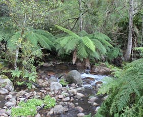 Rural / Farming commercial property for sale at Lot 2 Off Neringla Road Braidwood NSW 2622