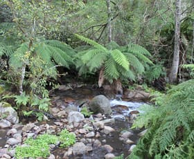 Rural / Farming commercial property sold at Lot 2 Off Neringla Road Braidwood NSW 2622