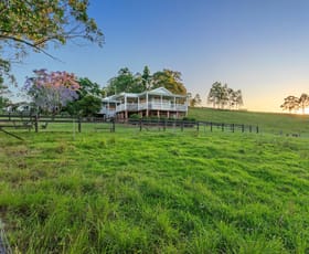 Rural / Farming commercial property sold at 857 Willina Road Willina NSW 2423