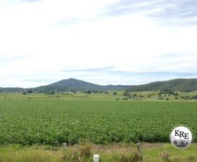 Rural / Farming commercial property for sale at Lot 2 Hillyard's Road Kyogle NSW 2474