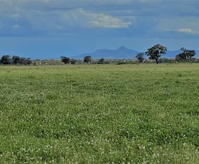 Rural / Farming commercial property sold at 411 County Boundary Road Milbrulong NSW 2656