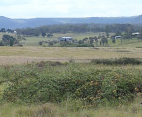 Rural / Farming commercial property for sale at 409 Bellevue Road Tenterfield NSW 2372