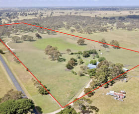 Rural / Farming commercial property sold at 1178 Old Kalangadoo Rd Monbulla SA 5277