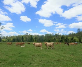 Rural / Farming commercial property sold at 421 Babyl Creek Road Kyogle NSW 2474