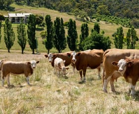 Rural / Farming commercial property sold at 916 Kalkite Road Kalkite NSW 2627
