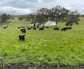 Rural / Farming commercial property sold at 86 Woolshed Road Mount Torrens SA 5244
