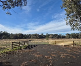 Rural / Farming commercial property for sale at 393 Mansfield Road Euroa VIC 3666