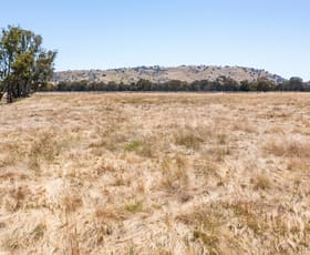 Rural / Farming commercial property for sale at 393 Mansfield Road Euroa VIC 3666