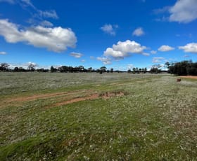 Rural / Farming commercial property sold at CA 70 Woolshed Flat Road Woolshed Flat VIC 3518