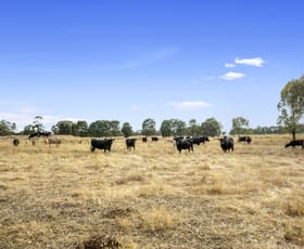 Rural / Farming commercial property sold at Lot 1/353 Coach Road Benalla VIC 3672