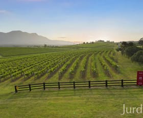 Rural / Farming commercial property sold at Lot 1 Mistletoe Lane Pokolbin NSW 2320