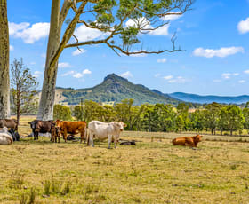 Rural / Farming commercial property sold at 169 Gloucester Tops Road Gloucester NSW 2422