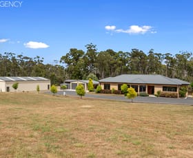 Rural / Farming commercial property sold at 6039 Frankford Road Wesley Vale TAS 7307