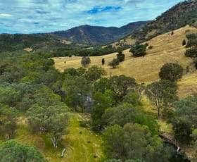 Rural / Farming commercial property sold at 363 Worlds End Road Mudgee NSW 2850