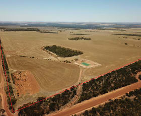 Rural / Farming commercial property sold at 2598 Mallee Hill Road Mallee Hill WA 6353