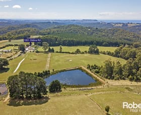 Rural / Farming commercial property for sale at 1001 Oldina Road Oldina TAS 7325