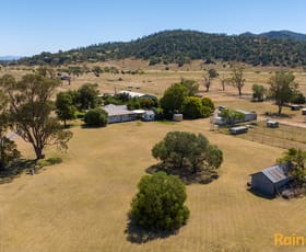 Rural / Farming commercial property sold at 1294 Kelvin Road Gunnedah NSW 2380