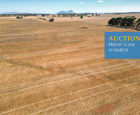 Rural / Farming commercial property sold at 156 S Rentschs Lane Croxton East VIC 3301