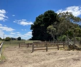 Rural / Farming commercial property for sale at Terang VIC 3264 Rural / Farming commercial property for sale at Terang VIC 3264