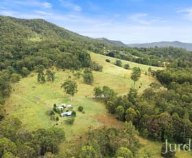 Rural / Farming commercial property for sale at 300 Hayes Road Millfield NSW 2325