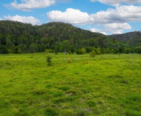 Rural / Farming commercial property sold at 113 Upper Mongongarie Road Mongogarie NSW 2470