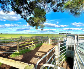 Rural / Farming commercial property for sale at 28 Barnie Bolac Road Darlington VIC 3271